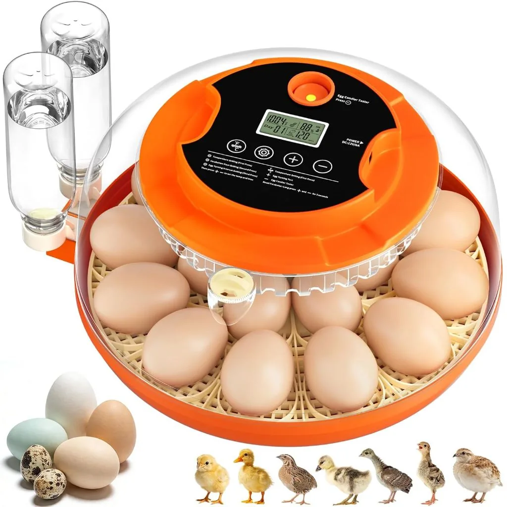 Product photo — Egg Incubator for Hatching Eggs
